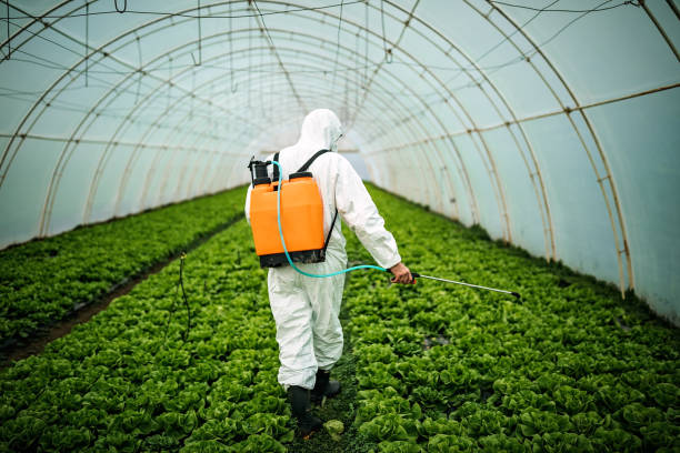 Best Pest Control Near Me  in Bonnetsville, NC