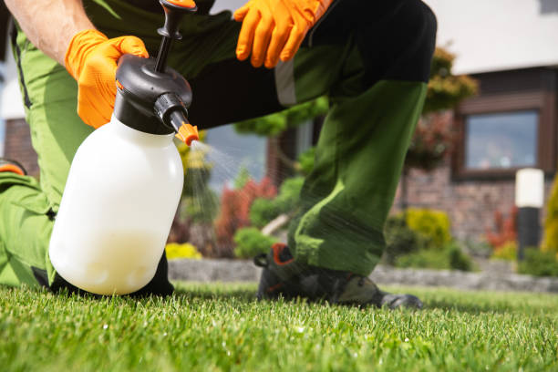 Pest Control Cost in Bonnetsville, NC