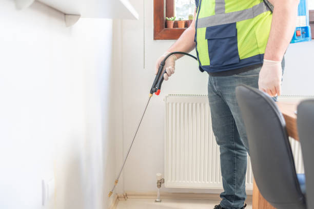 Best Rat Extermination Near Me  in Bonnetsville, NC