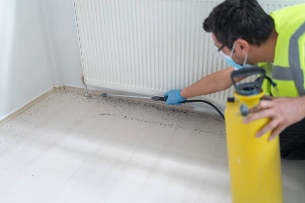 Best Affordable Pest Control Services  in Bonnetsville, NC
