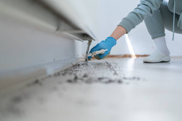 Best Emergency Pest Control  in Bonnetsville, NC